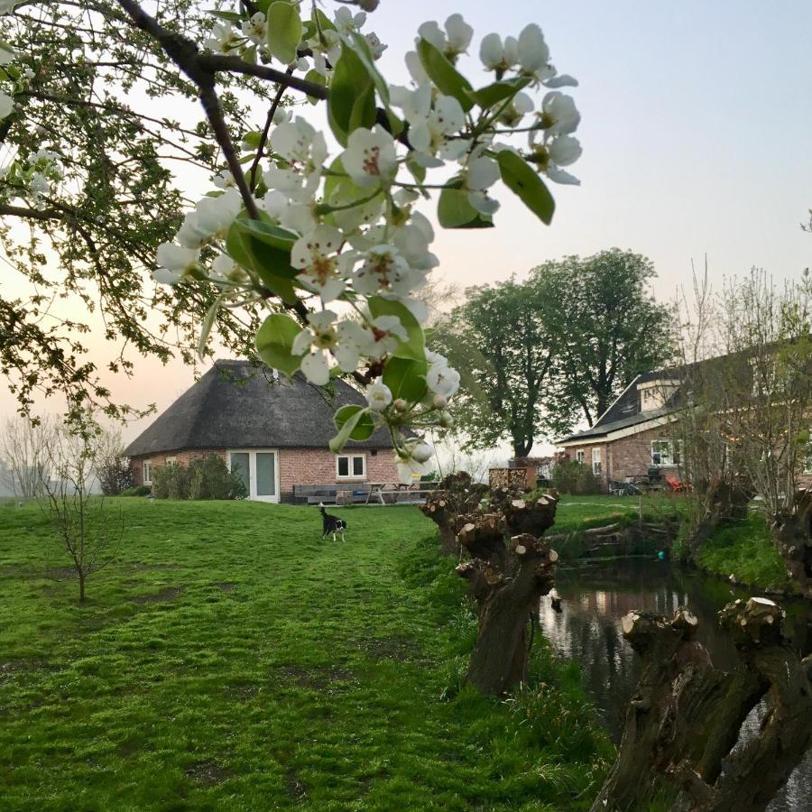 Groeten Uit Hoogmade - Rural Cottage Экстерьер фото